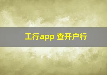 工行app 查开户行